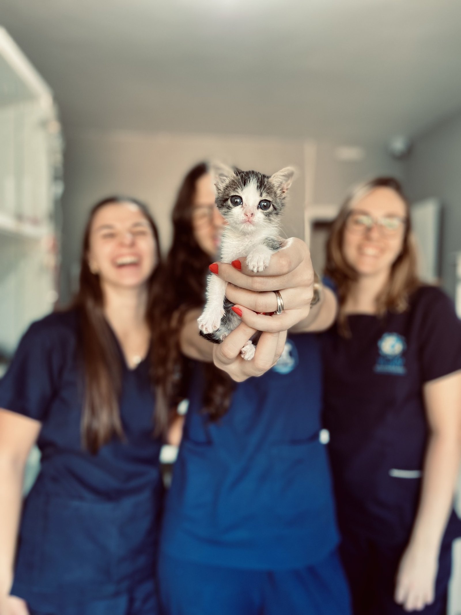 Equipe do Hospital Veterinário Touton